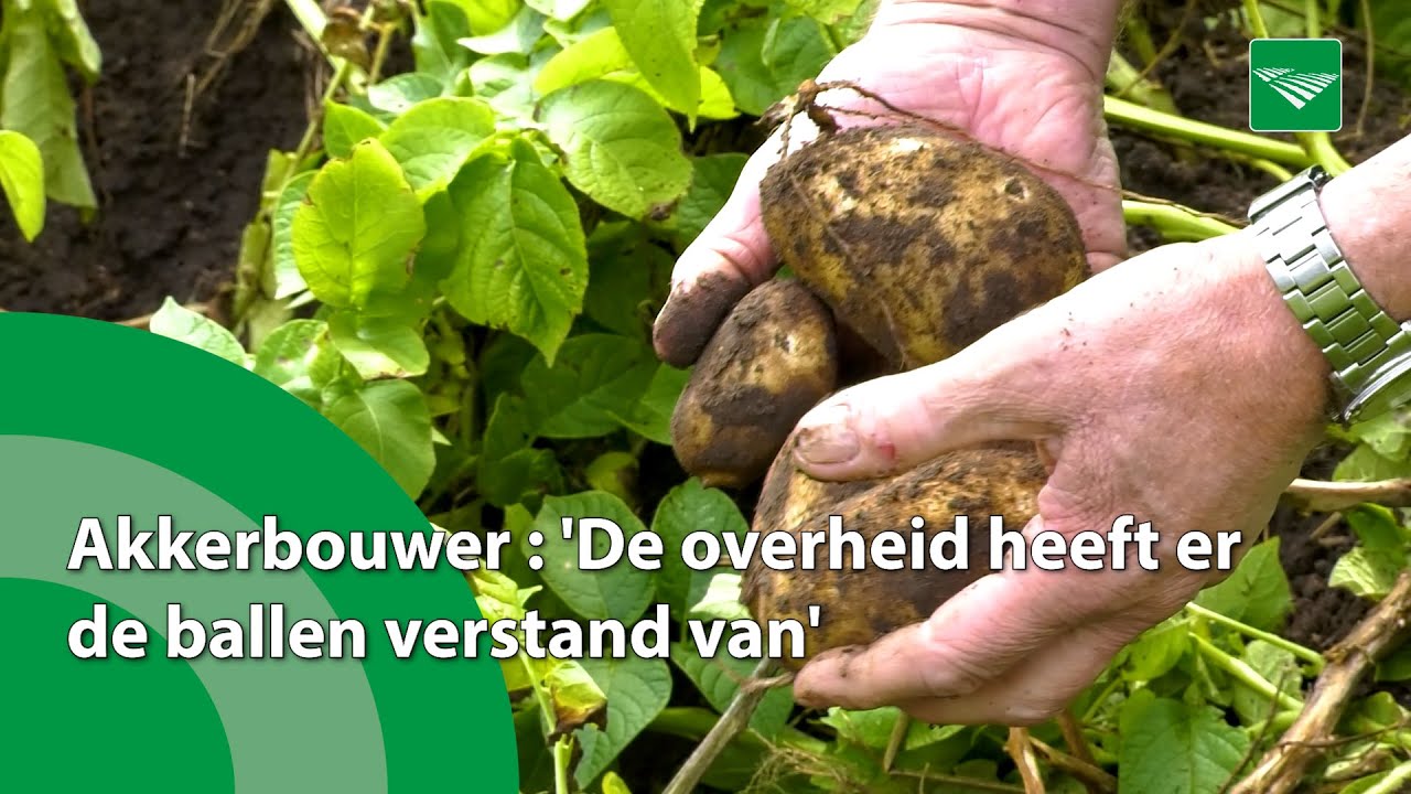 Akkerbouwer Slöetjes: 'De overheid heeft er de ballen verstand van'