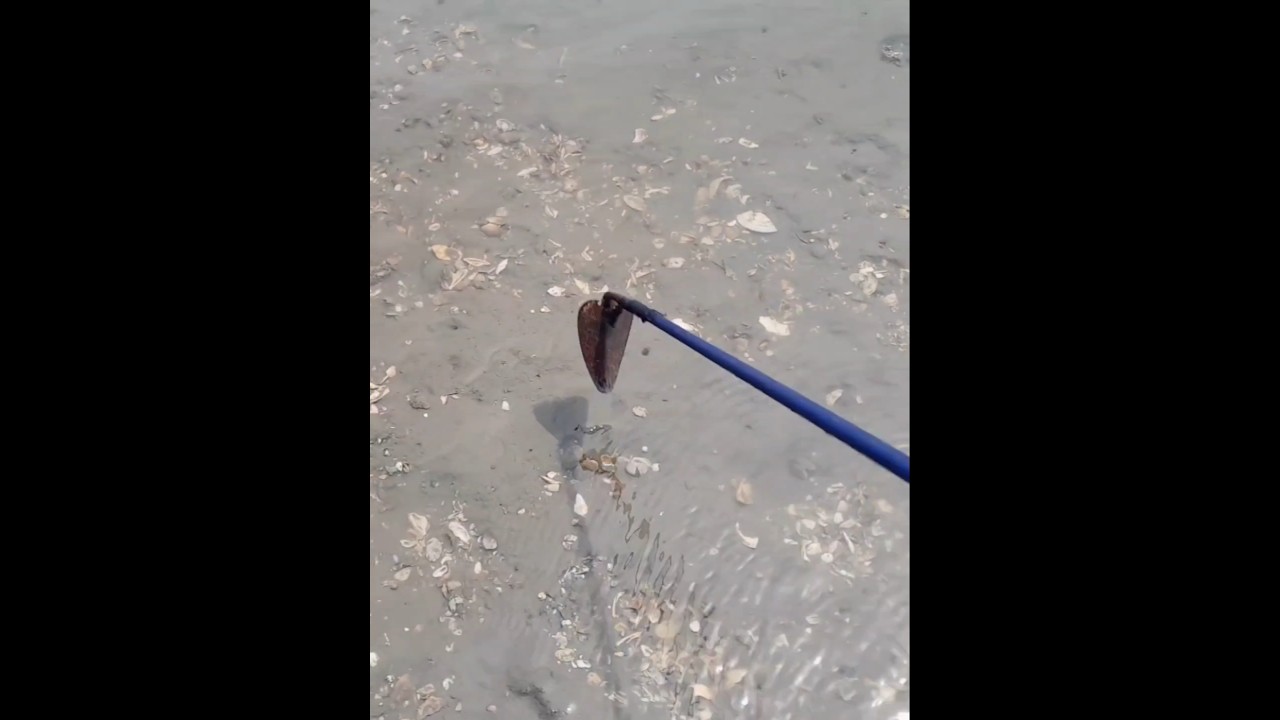 호미 자루가 길어야 하는이유! #shorts