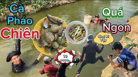 Cá Sặc Đồng Chiên Giòn Chấm Nước Mắm Xoài, Hương Vị Quê Hương Ăn Rồi Khó Quên Quá Ngon |Tư Nhọn