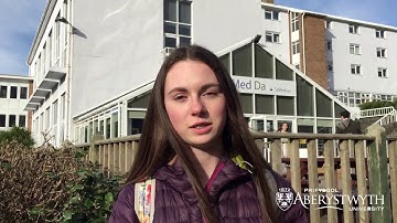 Visiting Day Experiences