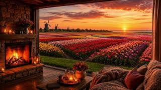 4K Cozy Fireplace World Netherlands Tulip Fields Sunset Ambience for Relax, Sleep &amp; Stress Relief