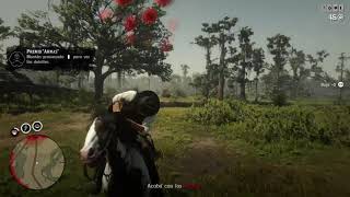 The Sniper - Red Dead Online