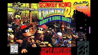 Donkey Kong Country 2: Diddys Kong Quest (RetroDuo)