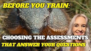 Before You Train Choosing the Assessment That Answers Your Question