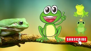 Taka si jagoan lompat katak dan sering bernyanyi | kode alam katak | video katak