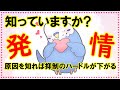 【知っていますか? インコの発情】知っていますか? インコの発情が何故起こるのか?  その原因を知ることで発情抑制のハードルをグッと低くしてしまいましょう。