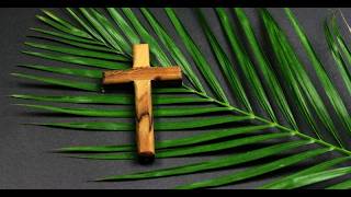 Transmisja Niedzielnej Mszy Swietej