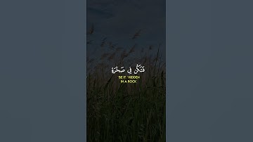 Surah Luqman | سورة لقمان |#لقمان #سورة #الله #محمد #luqman #allah #mohammad #الله #قرآن #quran