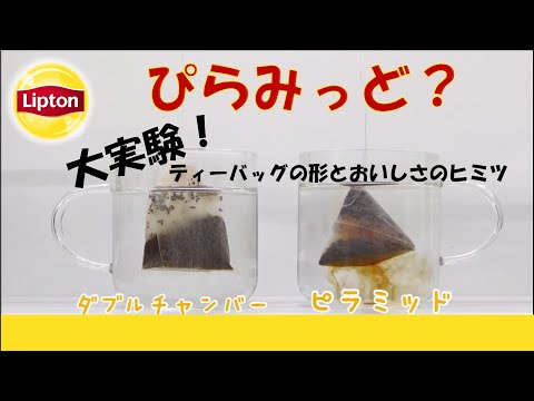 【リプトンのヒ・ミ・ツ♥】 ピラミッド型ティーバッグってなぁに？