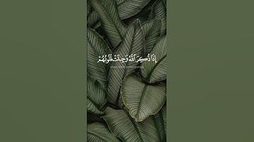 راحة نفسية❤️✨حالات واتس اب قران/مقاطع دينية قصيرة آيات قرانية/ستوريات انستا#قرآن_كريم