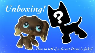 LPS Great Dane UNBOXING! + How to tell if an LPS is fake