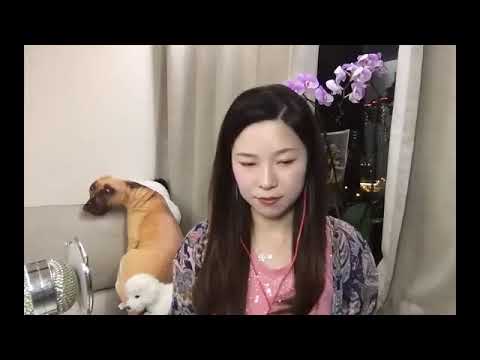 小小雪《昨夜的渡輪上》