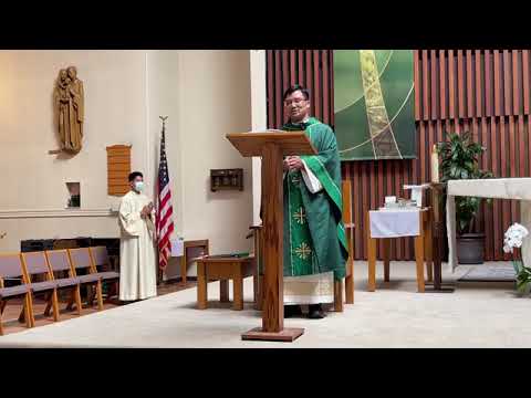 Video 08/07/2022, 5pm - Vietnamese Mass - youtube
