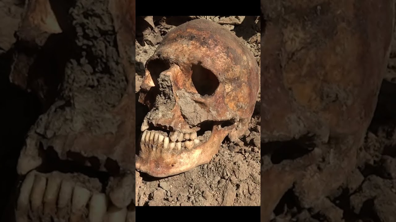 Forgotten Under Trash In A Mass Grave WWII Stalingrad German Soldier Exhumations