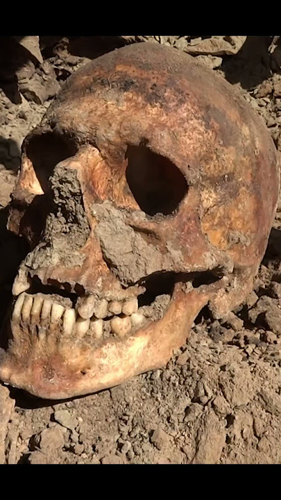 Forgotten under trash in a mass grave - WWII Stalingrad German soldier exhumations