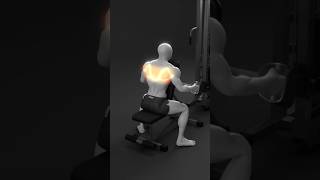 Cable Row Attachments (KNOW THE DIFFERENCE!) 🔥 #shorts