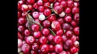 Cranberries 101-Flavor Combos Using Dried Cranberries
