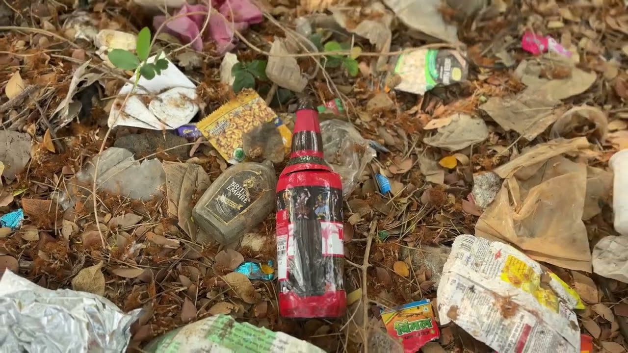 1min 15 sec short film plastic kills animals & Trees