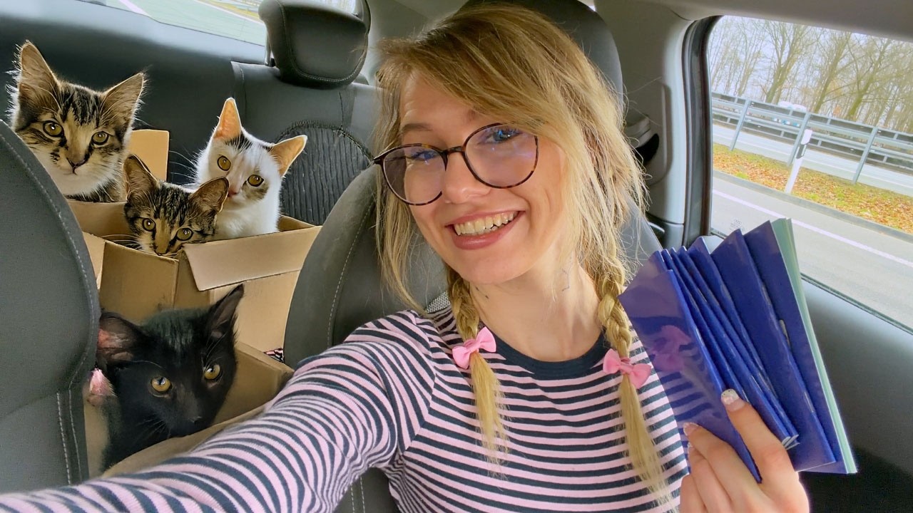 8 Katzen in meinem Auto?! 🐱 | (ASMR Vlog)
