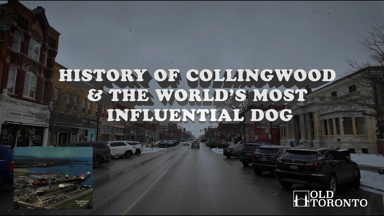 The history of Collingwood & the World's most influential dog