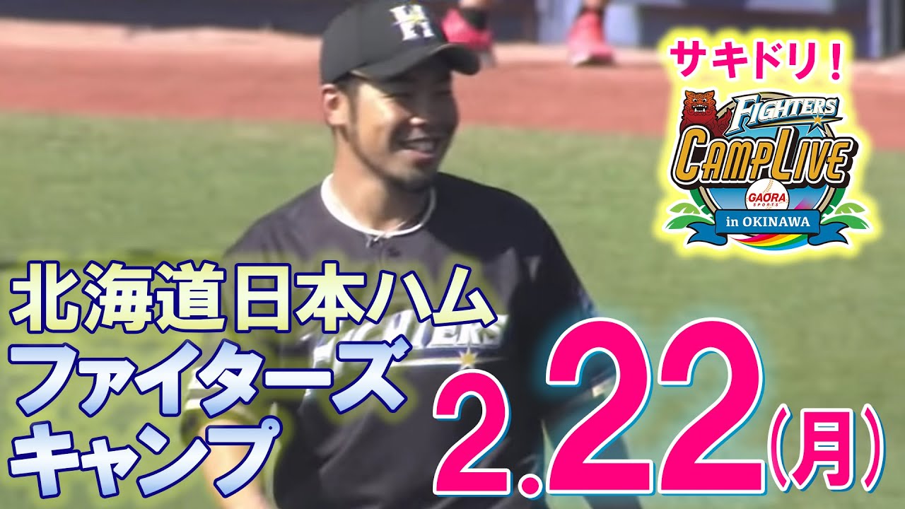 テレビより早く生配信 ファイターズ キャンプlive 2月22日 北海道日本ハムファイターズ Youtube