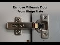 Remove Millennia Door From Hinge Plate