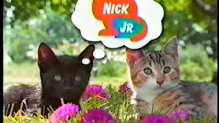 Nick Jr. Coming Up Next Bumper Cats Blues Clues & Kipper
