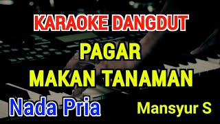 PAGAR MAKAN TANAMAN - Karaoke Nada Pria [ Mansyur S ]