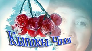 Video thumbnail of "«Кышкы чия» (Хэния Фэрхи)"