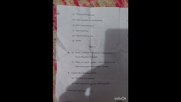 Mdu Bca Web design 4sem question paper 2024