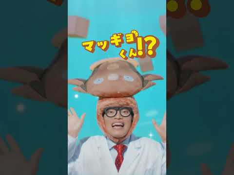 【公式】TVCM『ぽこ あ ポケモン エキスパンションパス』マッギョくん？篇