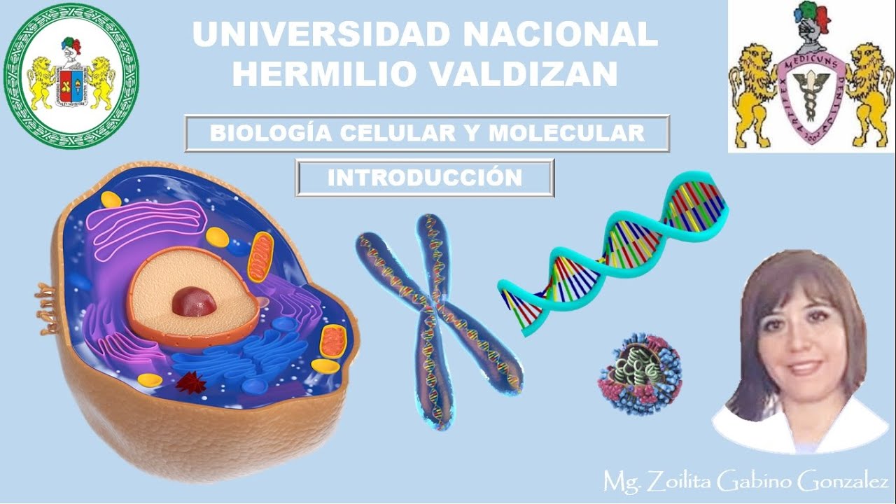 1 BIOLOGIA Y SUS RAMAS YouTube