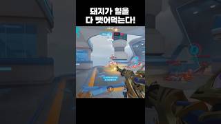 돼지님 좀 비켜;; #오버워치2 #overwatch2