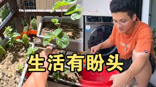 婚前先旅：在家里种瓜果蔬菜，葡萄也安排上，号称种上包吃