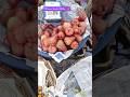 Water Apples, రేగి పళ్ళు #Winterfruits2026 #shorts #waterapple #jujube #indianfruits  #viral #trend