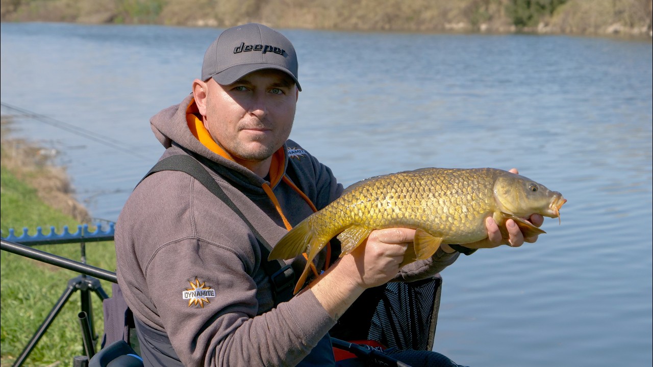 Alegerea corecta a cosuletelor in pescuitul la feeder