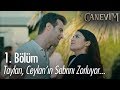 Taylan, Ceylan'ın sabrını zorluyor - Canevim 1. Bölüm