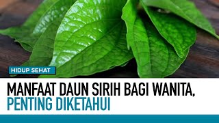 Manfaat Daun Sirih untuk Wanita | Hidup Sehat tvOne