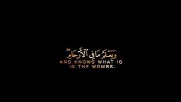 إن الله عنده علم الساعة 31:34|سورة لقمان كروما شاشة سوداء القارئ صلاح المصلي