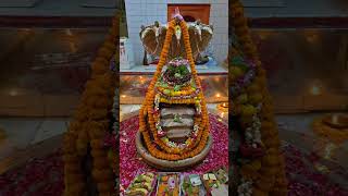 Live highlight#mahadev #shortvideo #kashi #youtubeshorts #varanasi
