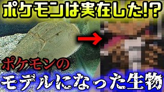 ポケモンは現実に存在していた！？ポケモンのモデルになった古代生物3選【キモカワな古代生物#7】