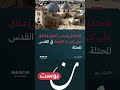 إغلاق كنيسة القيامة في القدس يهدد شعائر أسبوع الآلام وسط تصاعد الحرب