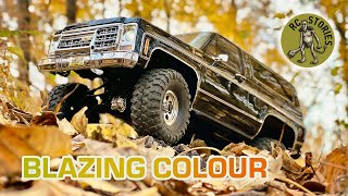 Chevy Trail Truck in Blazing Colour! - Traxxas TRX-4 1979 Blazer
