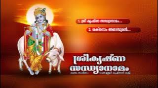 SREE KRISHNA SANDHYANAMAM | Hindu Devotional Songs Malayalam | Sree Krishna Audio jukebox