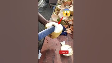secret of coconut tree!😱 #facts