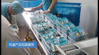 带托盒包装508S Box Motion Packaging Speed 70pps; Secondary package with tray pack automatic solution