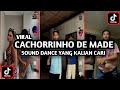 CACHORRINHO DE MADAME VIRAL TIKTOK TERBARU 2025 CACHORRINHO DE MADAME VIRAL TIKTOK TERBARU 2025