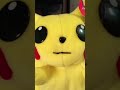 We have Pikachu at home #shorts #viral #pikachu #pikachumemes #pokemon #pokemonmemes