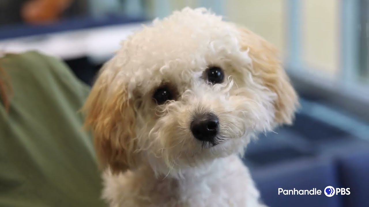 Meditation Demo: The Little Things