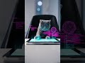 Kucing Jago Teknologi: Coding atau Gaming?